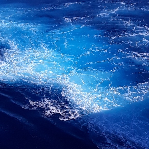 Meet your Posher, Alecia - Picture 5 of 8